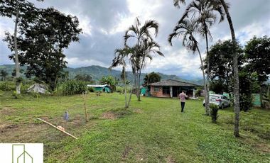 Finca Venta – Barcelona Quindío