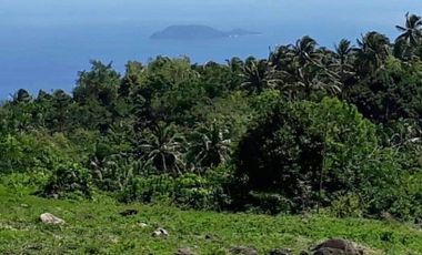 APO ISLAND VIEW LAND FOR SALE IN DAUIN