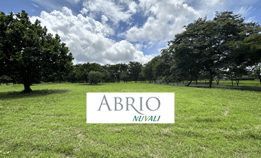 Abrio Nuvali for Sale, Phase 2 (993 sqm)