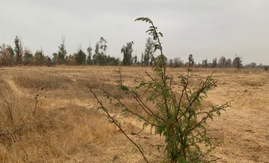 Vendo terreno urbano 51.000 m2, sector Maule Norte