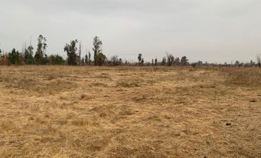 Vendo terreno urbano 51.000 m2, sector Maule Norte