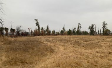 Vendo terreno urbano 51.000 m2, sector Maule Norte