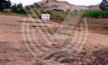 GRAN OPORTUNIDAD: SE VENDE TERRENO AGRÍCOLA DE 4,700 m²A MITAD DE PRECIO