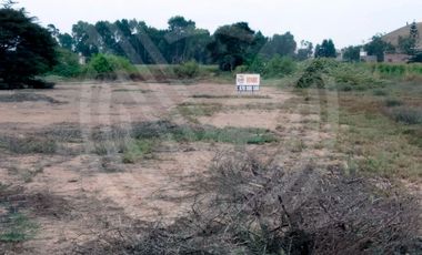 GRAN OPORTUNIDAD: SE VENDE TERRENO AGRÍCOLA DE 4,700 m²A MITAD DE PRECIO