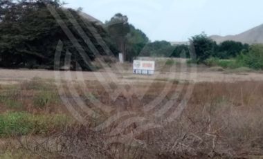 GRAN OPORTUNIDAD: SE VENDE TERRENO AGRÍCOLA DE 4,700 m²A MITAD DE PRECIO