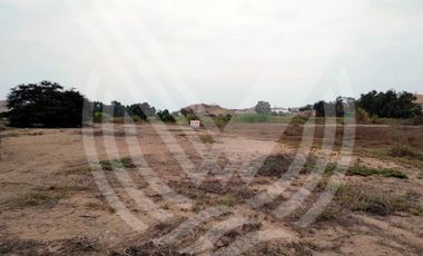 GRAN OPORTUNIDAD: SE VENDE TERRENO AGRÍCOLA DE 4,700 m²A MITAD DE PRECIO