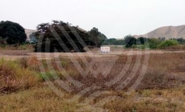 GRAN OPORTUNIDAD: SE VENDE TERRENO AGRÍCOLA DE 4,700 m²A MITAD DE PRECIO