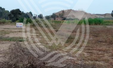 GRAN OPORTUNIDAD: SE VENDE TERRENO AGRÍCOLA DE 4,700 m²A MITAD DE PRECIO