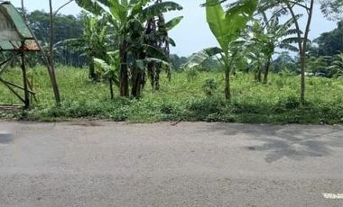 Tanah Nol Jalan Raya Seloliman Trawas Mojokerto
