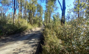 PARCELA  , PARQUE VOLCANES, ENSENADA, PUERTO VARAS