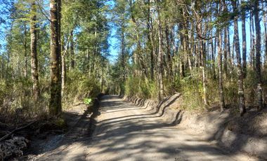 PARCELA  , PARQUE VOLCANES, ENSENADA, PUERTO VARAS