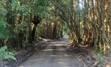 PARCELA  , PARQUE VOLCANES, ENSENADA, PUERTO VARAS