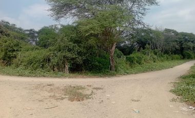 TERRENO AGRICOLA - JAYANCA CHICLAYO VENTA  s/120000
