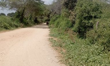 TERRENO AGRICOLA - JAYANCA CHICLAYO VENTA  s/120000