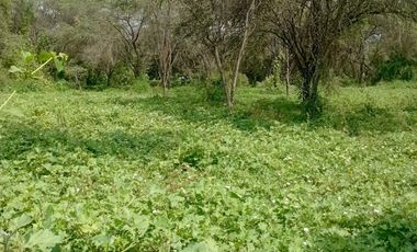 TERRENO AGRICOLA - JAYANCA CHICLAYO VENTA  s/120000