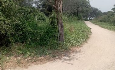 TERRENO AGRICOLA - JAYANCA CHICLAYO VENTA  s/120000