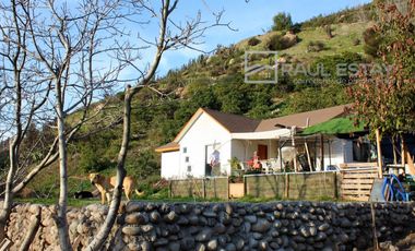 VENDEMOS Parcela con paltos y hermosa casa