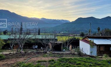 VENDEMOS Parcela con paltos y hermosa casa