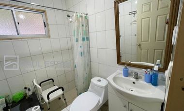 VENDEMOS Parcela con paltos y hermosa casa
