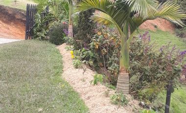 VENDO FINCA DE DOS NIVELES EN SAN VICENTE FERRER ANTIOQUIA.