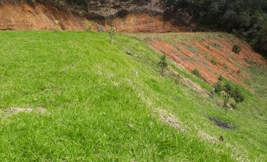 VENDO FINCA DE DOS NIVELES EN SAN VICENTE FERRER ANTIOQUIA.