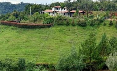 VENDO FINCA DE DOS NIVELES EN SAN VICENTE FERRER ANTIOQUIA.