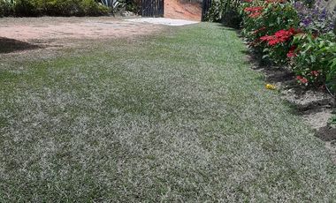 VENDO FINCA DE DOS NIVELES EN SAN VICENTE FERRER ANTIOQUIA.