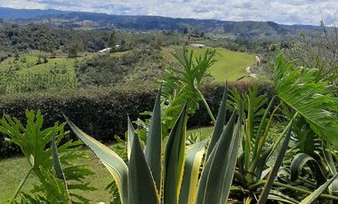 VENDO FINCA DE DOS NIVELES EN SAN VICENTE FERRER ANTIOQUIA.