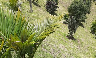 VENDO FINCA DE DOS NIVELES EN SAN VICENTE FERRER ANTIOQUIA.