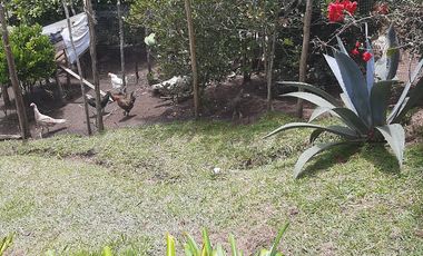 VENDO FINCA DE DOS NIVELES EN SAN VICENTE FERRER ANTIOQUIA.