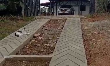 VENDO FINCA DE DOS NIVELES EN SAN VICENTE FERRER ANTIOQUIA.