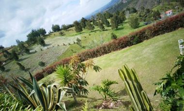 VENDO FINCA DE DOS NIVELES EN SAN VICENTE FERRER ANTIOQUIA.