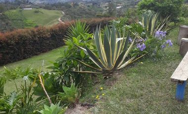 VENDO FINCA DE DOS NIVELES EN SAN VICENTE FERRER ANTIOQUIA.
