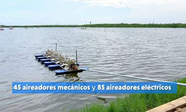 EN VENTA: camaronera de 112 hectáreas en Barbones, El Oro