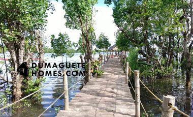 1.2 HECTARES GORGEOUS BAY PROPERTY FOR SALE IN SIATON!!