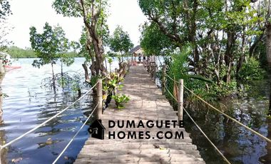 1.2 HECTARES GORGEOUS BAY PROPERTY FOR SALE IN SIATON!!