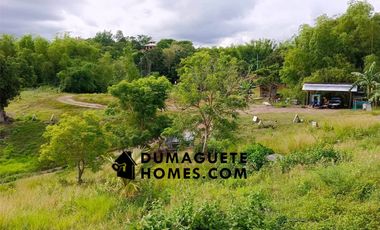 1.2 HECTARES GORGEOUS BAY PROPERTY FOR SALE IN SIATON!!