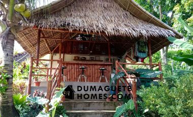 1.2 HECTARES GORGEOUS BAY PROPERTY FOR SALE IN SIATON!!