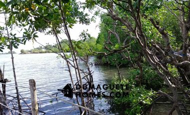 1.2 HECTARES GORGEOUS BAY PROPERTY FOR SALE IN SIATON!!