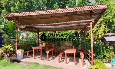 1.2 HECTARES GORGEOUS BAY PROPERTY FOR SALE IN SIATON!!