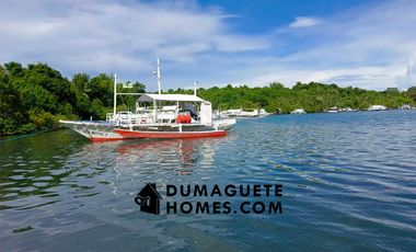 1.2 HECTARES GORGEOUS BAY PROPERTY FOR SALE IN SIATON!!