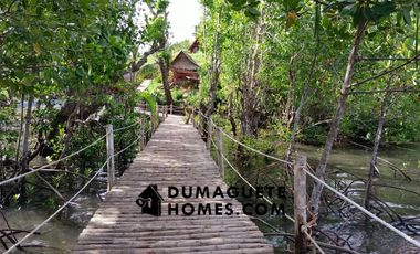 1.2 HECTARES GORGEOUS BAY PROPERTY FOR SALE IN SIATON!!