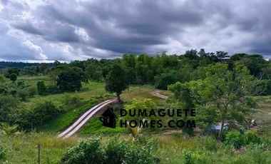 1.2 HECTARES GORGEOUS BAY PROPERTY FOR SALE IN SIATON!!