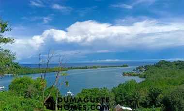 1.2 HECTARES GORGEOUS BAY PROPERTY FOR SALE IN SIATON!!