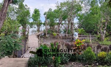 1.2 HECTARES GORGEOUS BAY PROPERTY FOR SALE IN SIATON!!