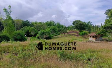1.2 HECTARES GORGEOUS BAY PROPERTY FOR SALE IN SIATON!!