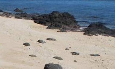 250 Hec. Beach Lot for Sale at Salamague Island Marinduqe