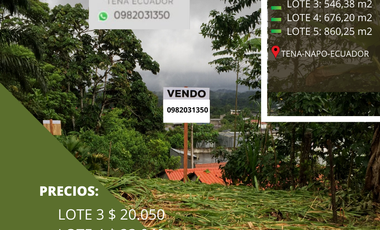SE VENDEN TRES LOTES DE TERRENO EN TENA NAPO ECUADOR