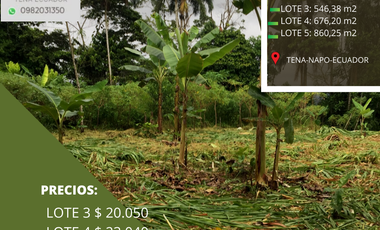 SE VENDEN TRES LOTES DE TERRENO EN TENA NAPO ECUADOR