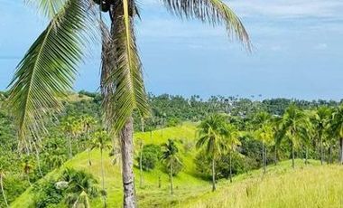 Lot in Carmen, Agusan Del Norte, 37 hectares, 150 per sqm